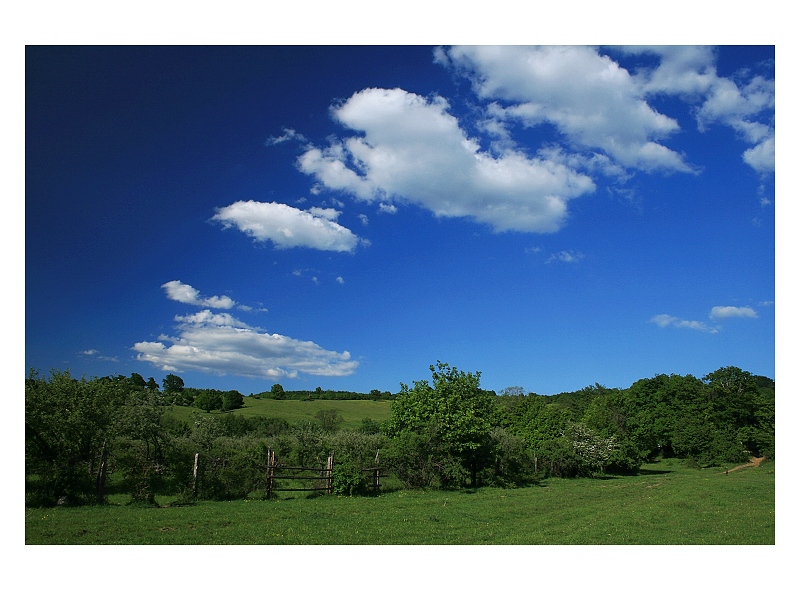 Sviežosť jarných pasienkov